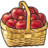 Apples Icon